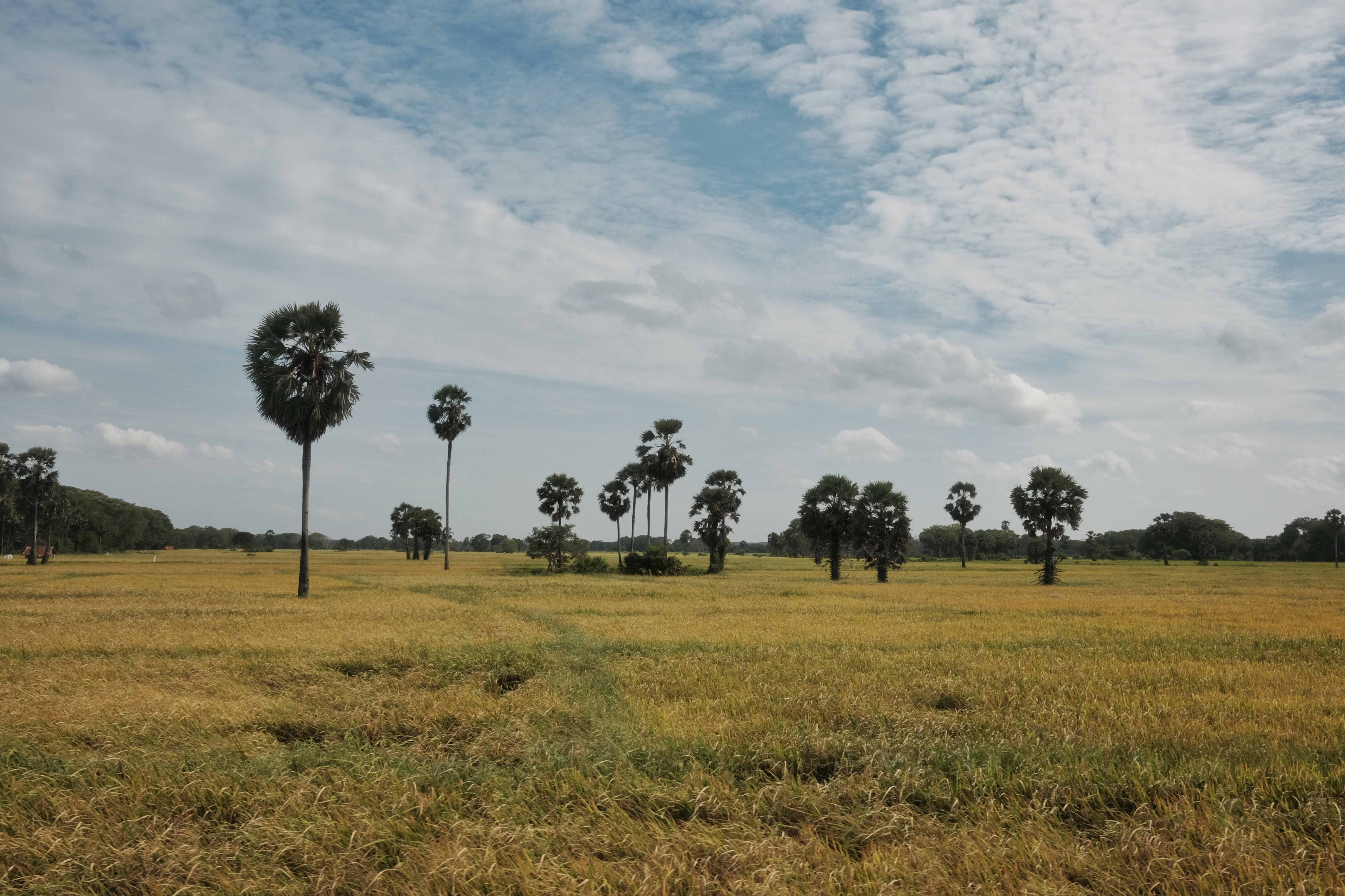 Jaffna Fort